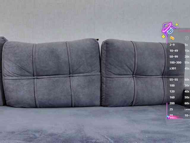Li1Kitty webcam