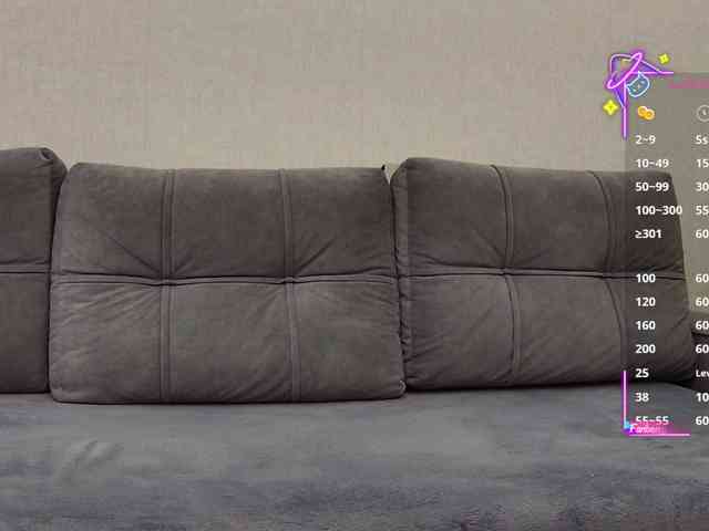 Li1Kitty webcam