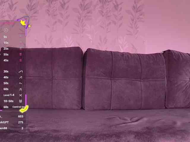 Li1Kitty webcam