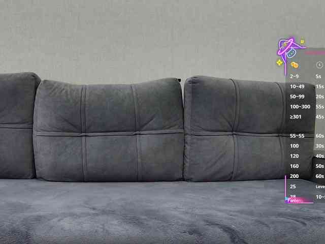 Li1Kitty webcam
