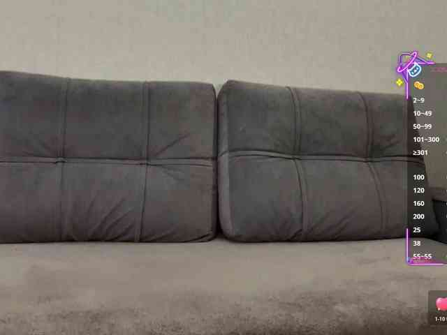 Li1Kitty webcam