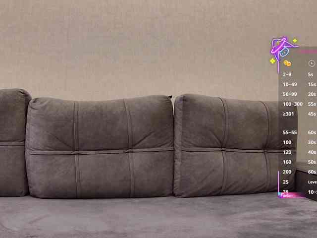 Li1Kitty webcam