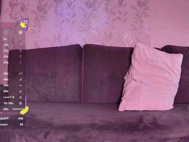 Li1Kitty webcam