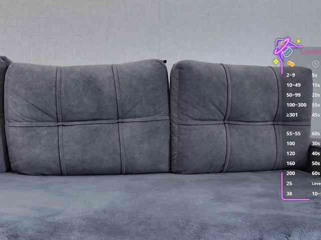 Li1Kitty webcam