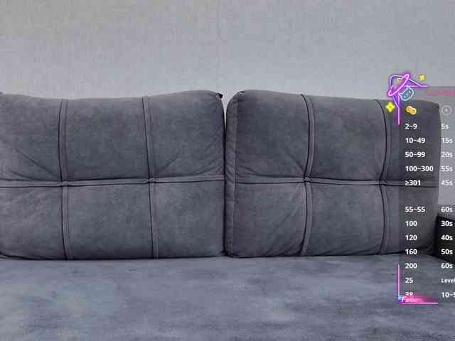 Li1Kitty webcam