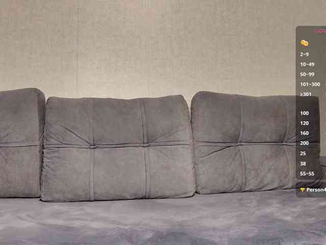 Li1Kitty webcam