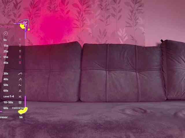 Li1Kitty webcam