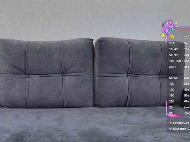 Li1Kitty webcam