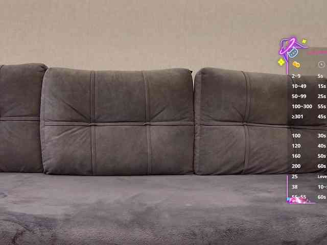 Li1Kitty webcam