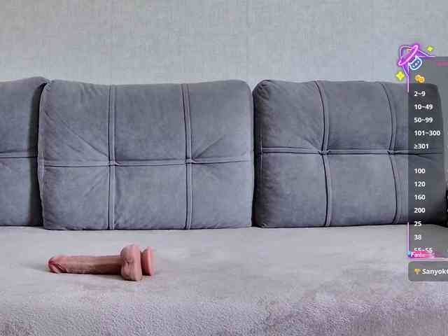 Li1Kitty webcam