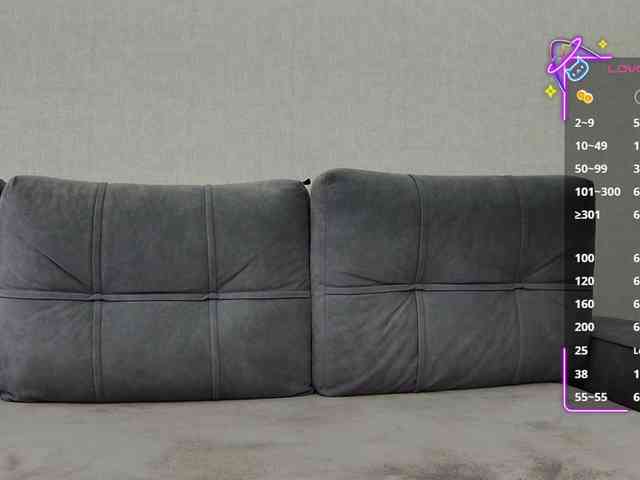 Li1Kitty webcam