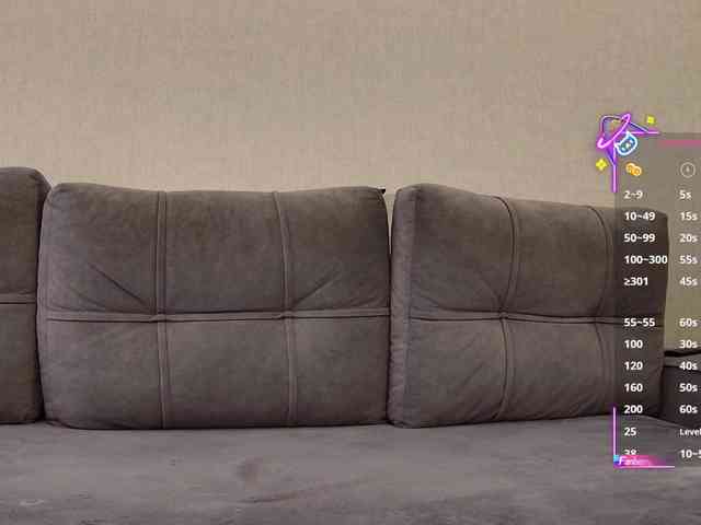 Li1Kitty webcam