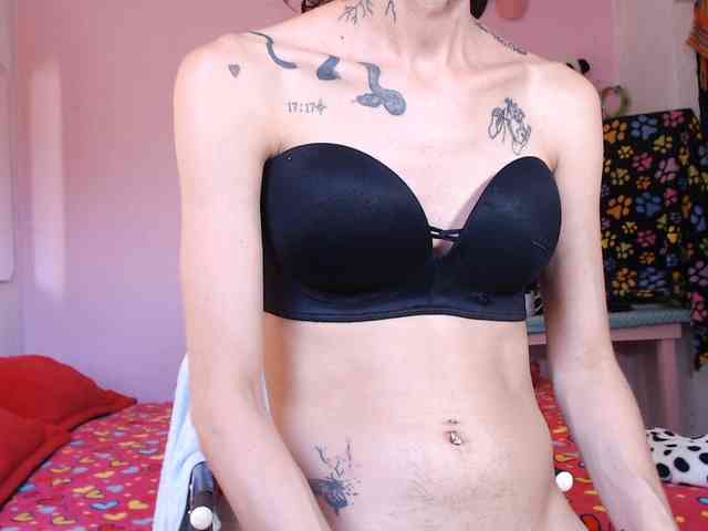 Flacats23cm1 Live Webcam on BongaCams