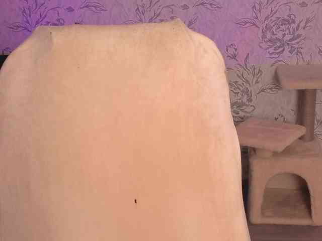 annie-fleur webcam