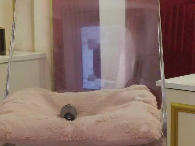 ChloeSins live cam on BongaCams