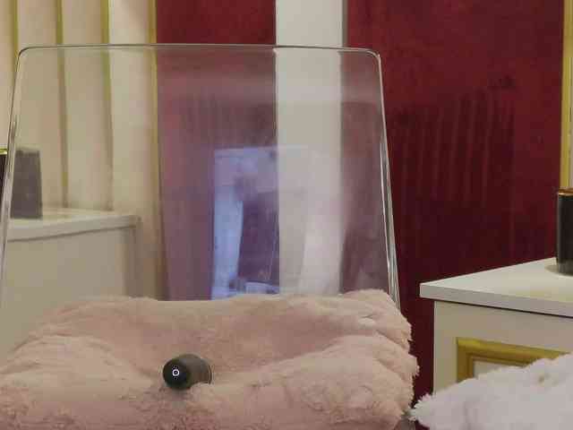 ChloeSins webcam
