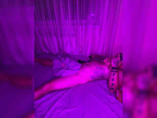 SerAli webcam