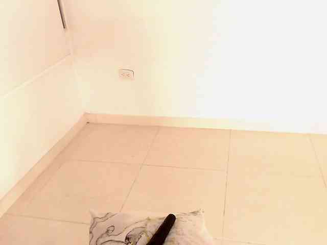 maidebram webcam