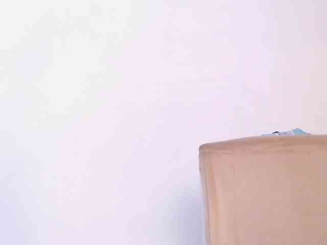 maidebram webcam