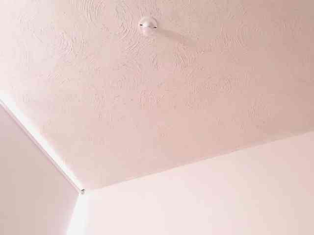 maidebram webcam
