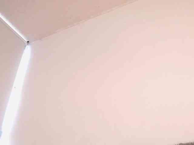 maidebram webcam