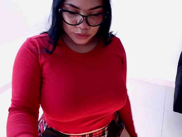 maidebram webcam
