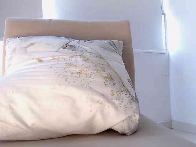 maidebram webcam