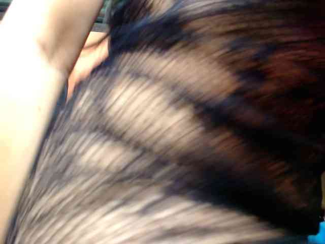 annyluna