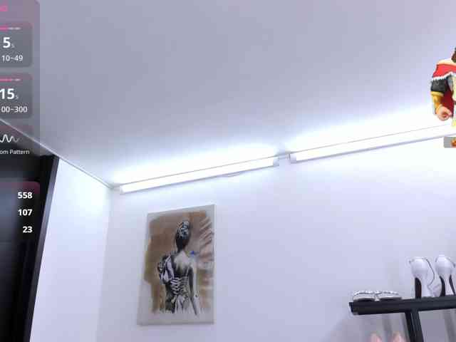 MAGHENTA webcam