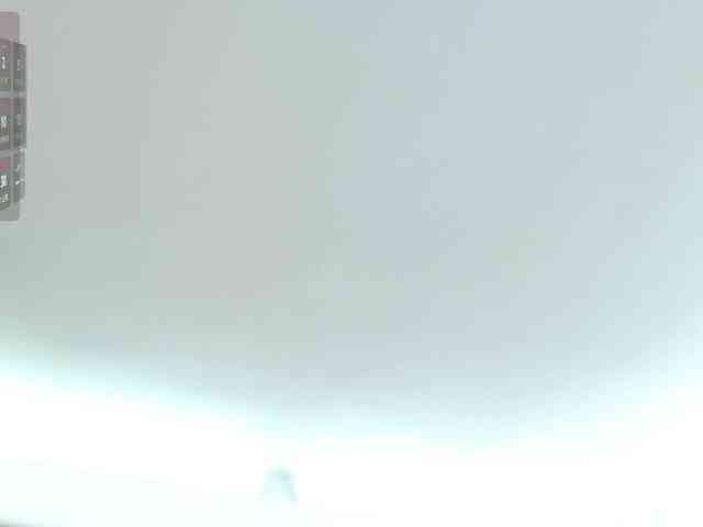 MAGHENTA webcam