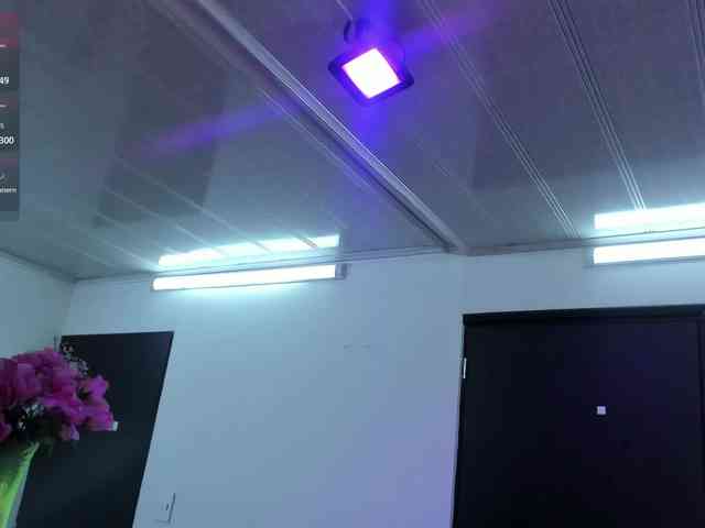 MAGHENTA webcam