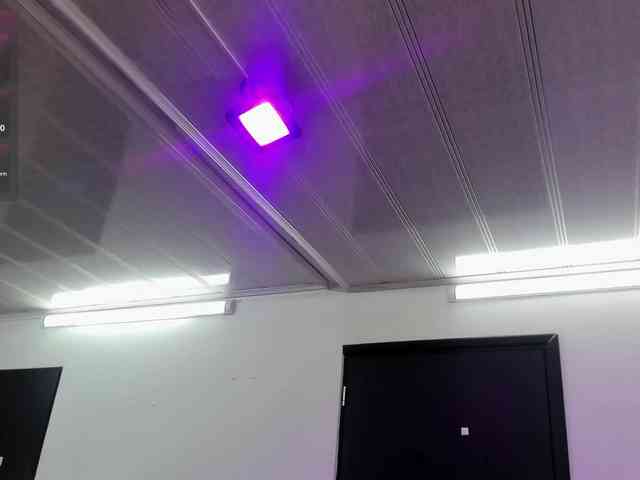 MAGHENTA webcam