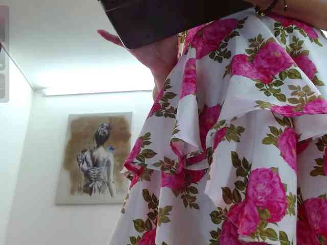 MAGHENTA webcam