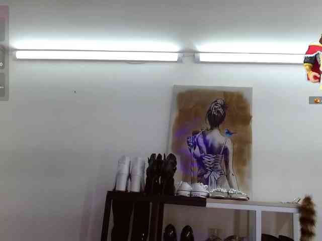 MAGHENTA webcam