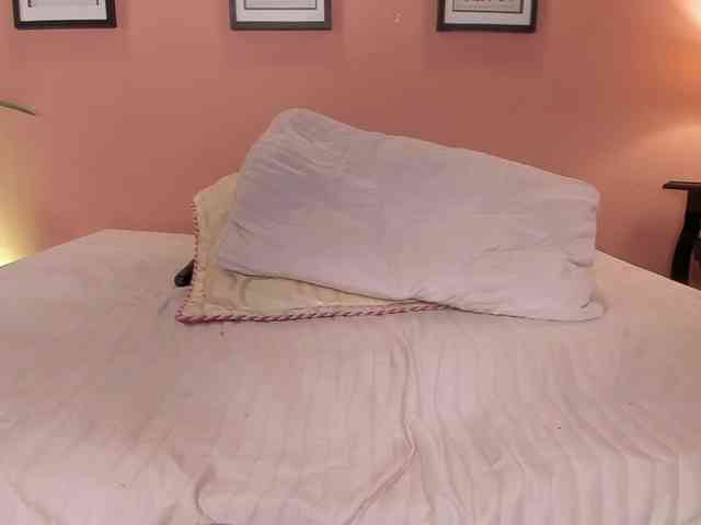 SofiaBennet webcam
