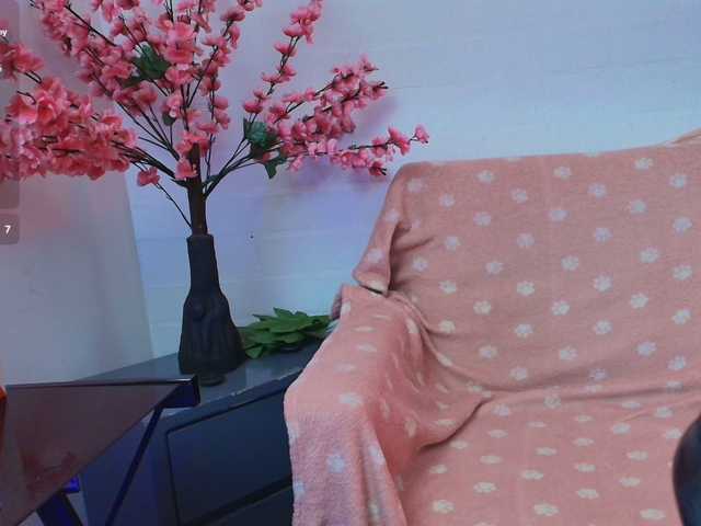 Ayliinn live cam preview