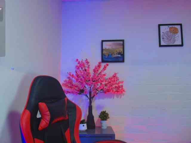 Ayliinn webcam