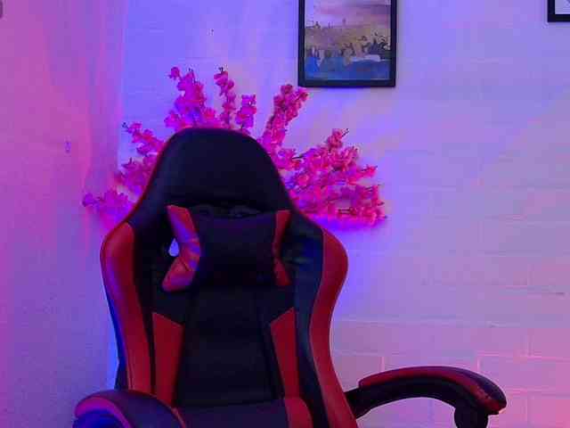 Ayliinn webcam