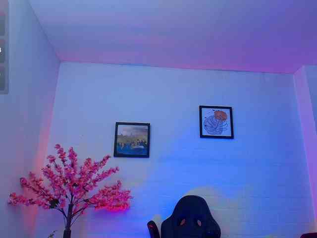 Ayliinn webcam
