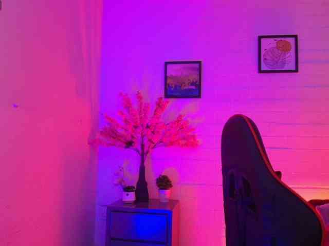 Ayliinn webcam