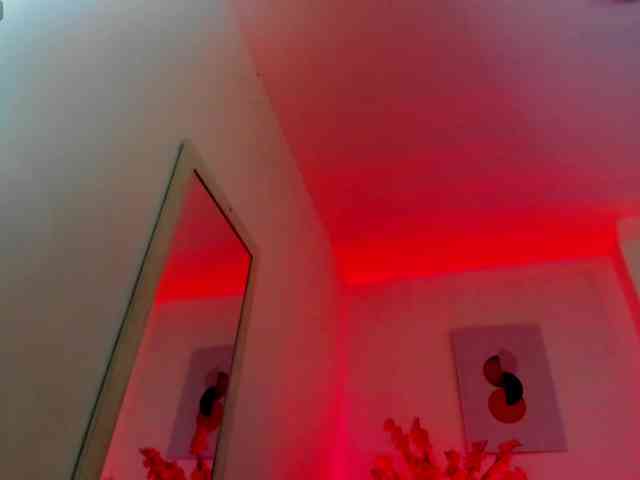 Ayliinn webcam