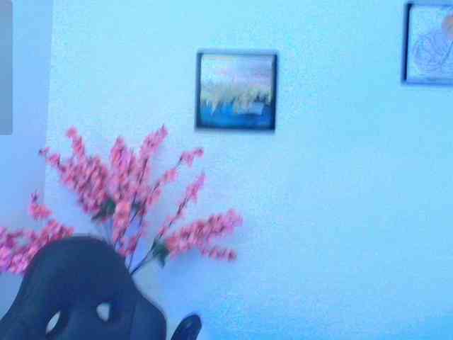 Ayliinn webcam