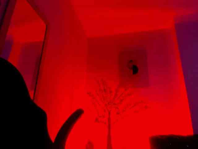 Ayliinn webcam