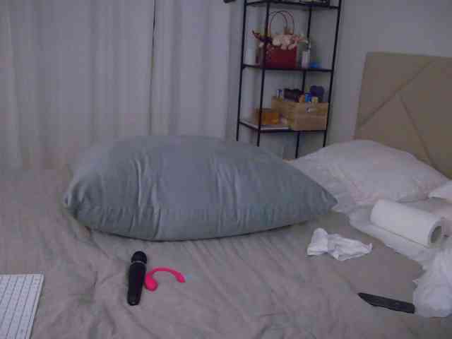 LOVEIS- webcam
