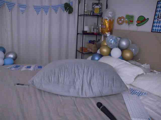 LOVEIS- webcam