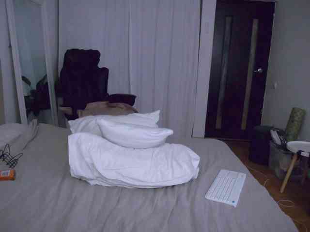 LOVEIS- webcam