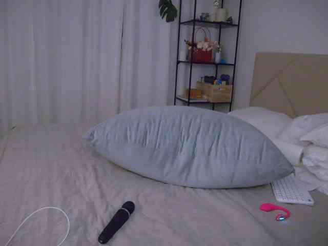 LOVEIS- webcam