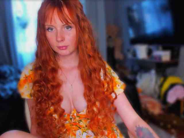konopushka webcam