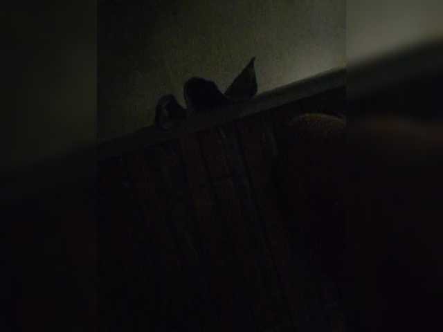 Preview of kira19991999