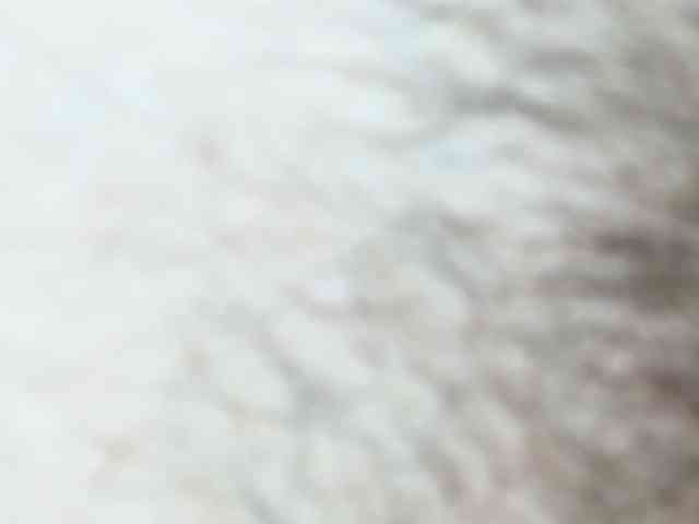 StlckTwlx